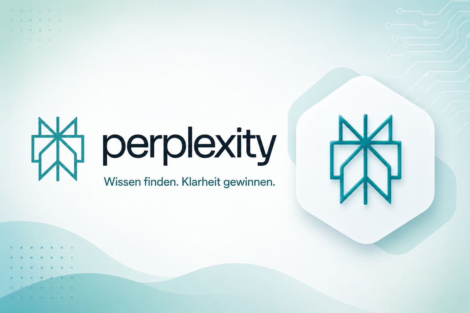 Perplexity